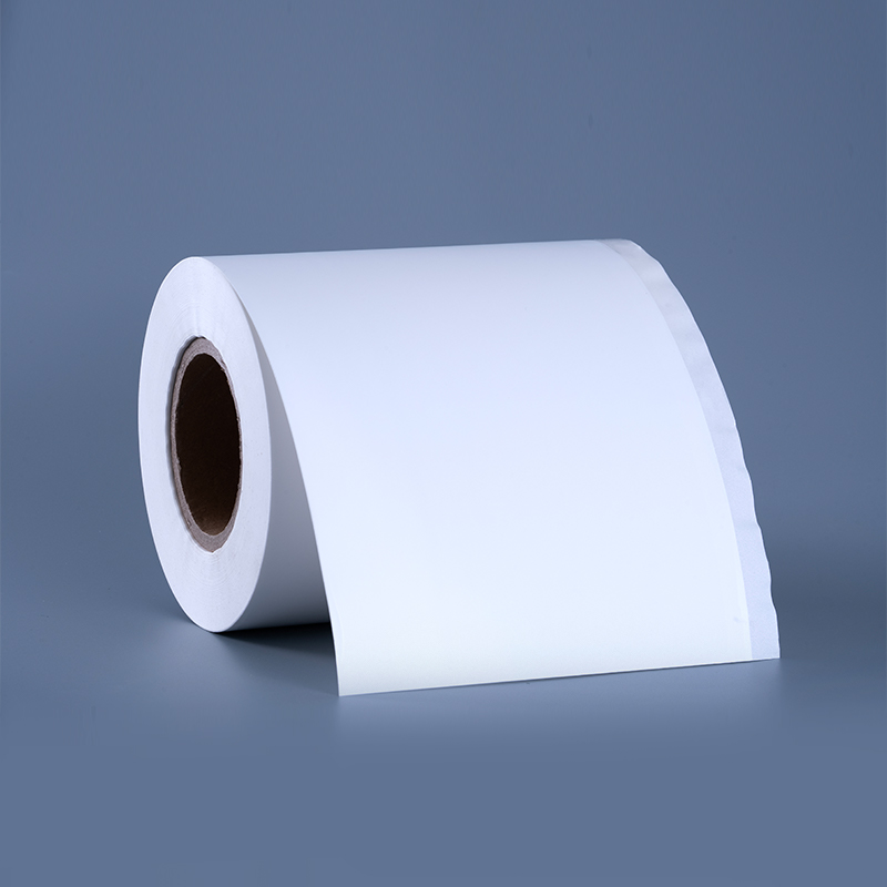 Self Adhesive PP Film