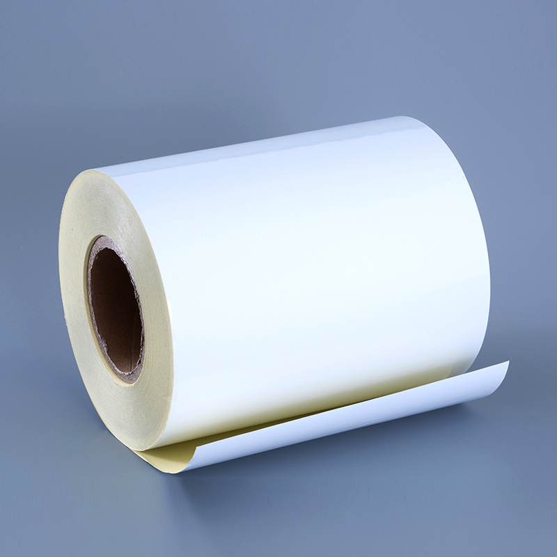 50mic Glossy White Polyester PET Film Self Adhesive Label with Solvent Acrylic Adhesive Jumbo Roll for Digital Printing