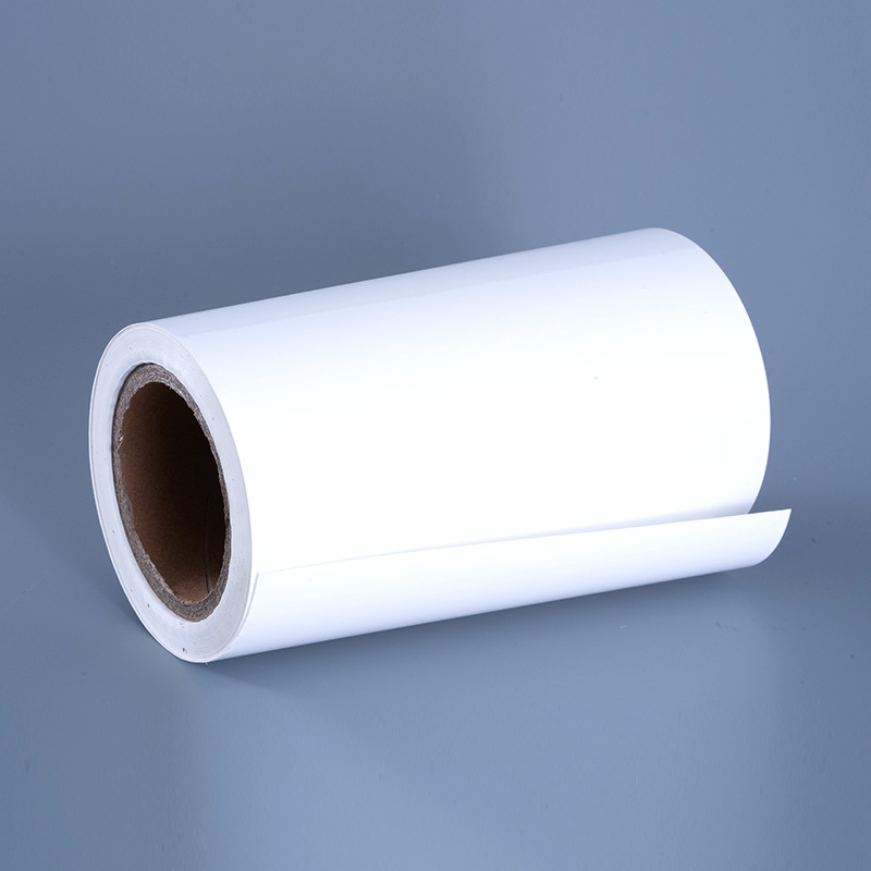 25mic Gloss PET Vinyl Film Label Materials with Acrylic Adhesive Jumbo Roll for Inkjet Printing